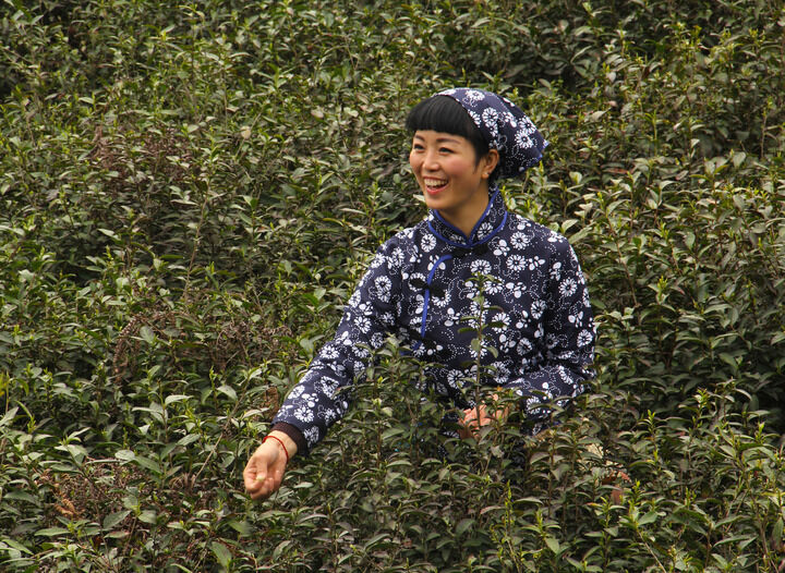 短剧封面